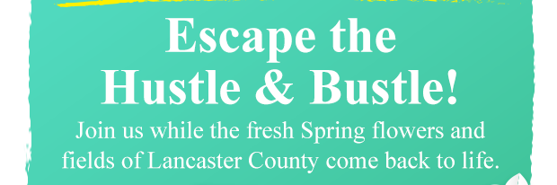 Escape the Hustle and Bustle!