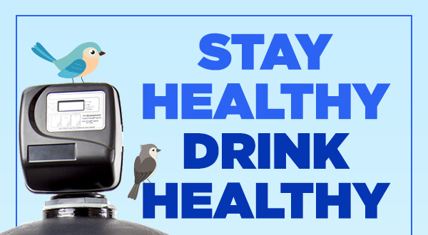 Stay Healthy - Drink Healthy