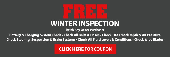 Free Winter Inspection - Click here for coupon