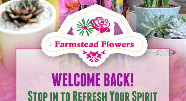Farmstead Flowers - Welcome back! Stop in to refresh your spirit!