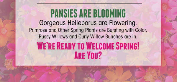 Pansies are blooming! We are ready to welcome spring! Are you?