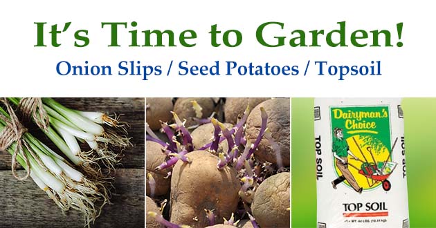 It's time to garden!